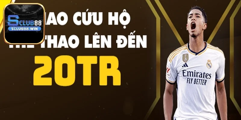 Phao cứu hộ dành cho người thua cược thể thao