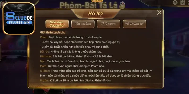 Thuật ngữ, cách chơi và luật tính điểm cụ thể